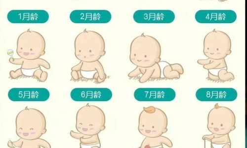 前宏-前红的功效与作用及禁忌症网 | 前仁的功效与作用及禁忌,前红是什么中药别名