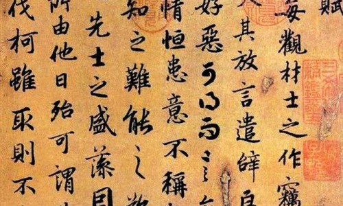 前红是什么中药-前红的功效与作用及禁忌症网 | 前仁的功效与作用及禁忌,前红是什么中药别名