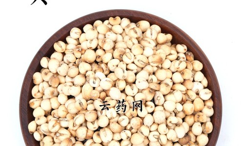 前红的功效与作用及禁忌症网 | 前仁的功效与作用及禁忌,前红是什么中药别名